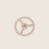 Gear Wheel